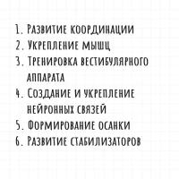 Обучающая игра &laquo;Балансир. Сафари&raquo;