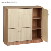 Обувница 3 отделения с дверью, 1060х280х960, Ясень шимо светлый/темный