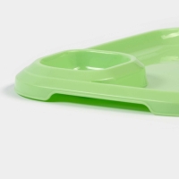 Блюдо для шашлыка с соусницей 30,3×21×2,5 см, цвет зеленый Блюдо для шашлыка с соусницей 30,3×21×2,5 см, цвет зеленый