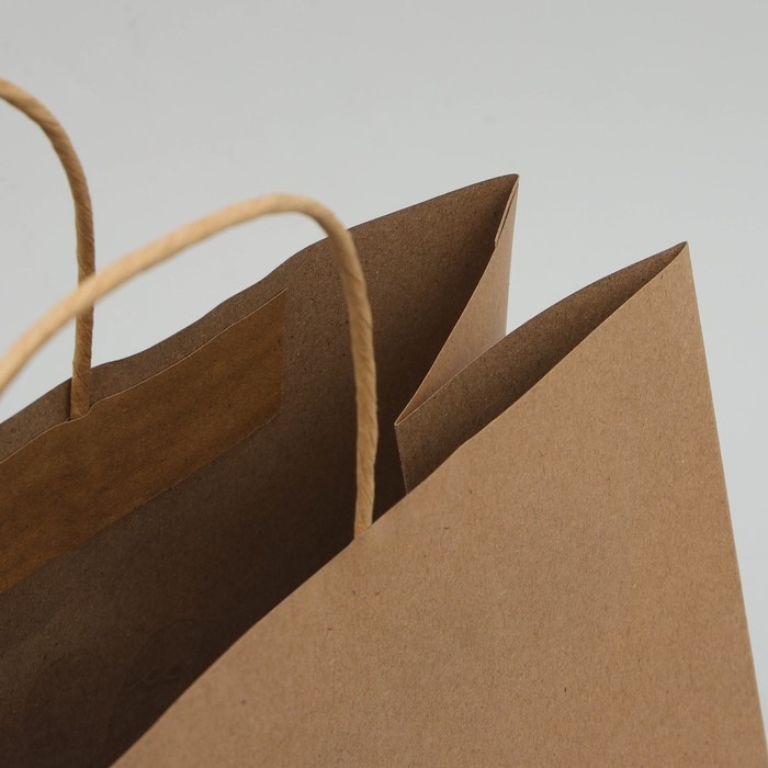 Пакет подарочный новогодний крафтовый Gold, 32 х 28 х 15 см, Новый год