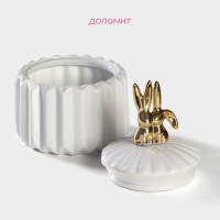 Банка керамическая для сыпучих продуктов Доляна &laquo;Золотой зайка&raquo;, 600 мл, цвет керамическая, белый