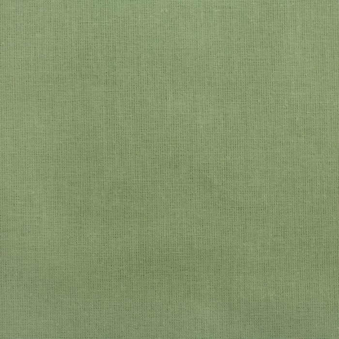 Постельное бельё "Этель" 1.5 сп Кактус 143х215 см,150х214 см, 50х70+3 - 2 шт