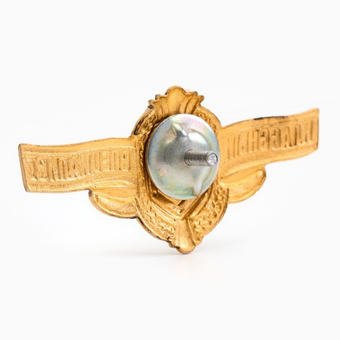 Значок "Мастер" классный специалист, на винте