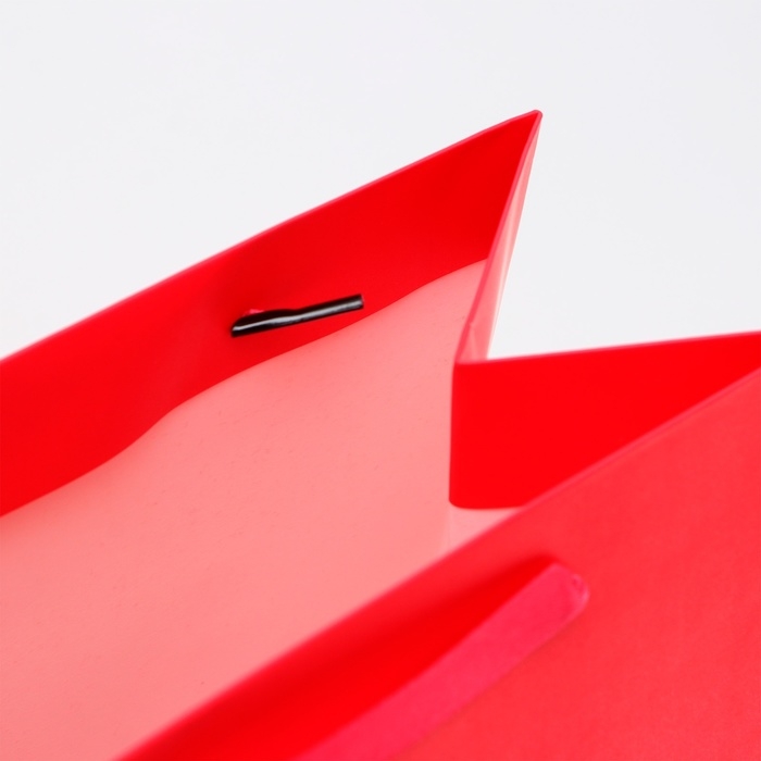 Пакет ламинированный «Фуксия», ML 23 × 27 × 11.5 см Пакет ламинированный «Фуксия», ML 23 × 27 × 11.5 см