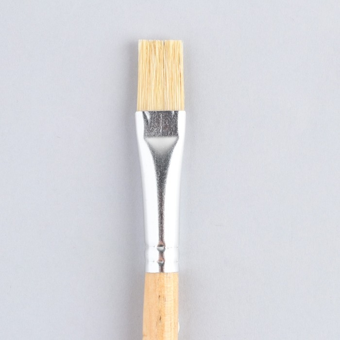 Кисть для рисования щетина плоская № 12