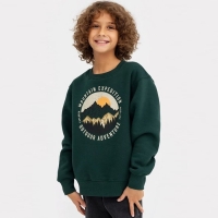 Свитшот для мальчика, НАЧЁС, цвет пихта, рост 98-104 см Свитшот для мальчика, НАЧЁС, цвет пихта, рост 98-104 см