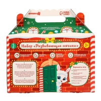 Подарочный набор развивающих тактильных мячиков &laquo;Праздничный домик&raquo;, 5 шт., новогодняя упаковка, Крошка Я