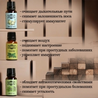 Набор эфирных масел "Лесные ноты" 9 шт по 17 мл Добропаровъ Набор эфирных масел "Лесные ноты" 9 шт по 17 мл Добропаровъ