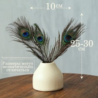 Перо павлина для декора, набор 3 шт., размер 1 шт. — от 25 до 30 см Перо павлина для декора, набор 3 шт., размер 1 шт. — от 25 до 30 см