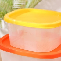 Набор пищевых контейнеров «BioFresh», 5 шт: 0,23 л, 0,5 л, 0,9 л, 1,55 л, 2,65 л, прозрачные, крышки микс Набор пищевых контейнеров «BioFresh», 5 шт: 0,23 л, 0,5 л, 0,9 л, 1,55 л, 2,65 л, прозрачные, крышки микс