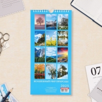 Календарь на ригеле "Волшебный мир природы" 2025 год, 16,5 х 34 см Календарь на ригеле "Волшебный мир природы" 2025 год, 16,5 х 34 см