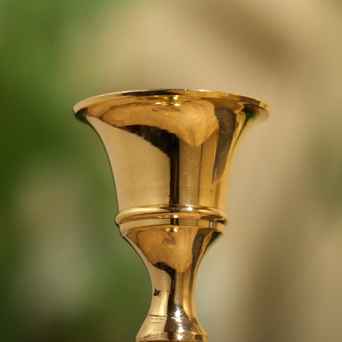 Подсвечник Подсвечник "Морской" 22 см, латунь