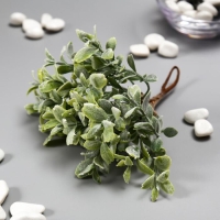 Искусственный суккулент для создания флорариума "Крассула" набор 6 шт 15 см Искусственный суккулент для создания флорариума "Крассула" набор 6 шт 15 см