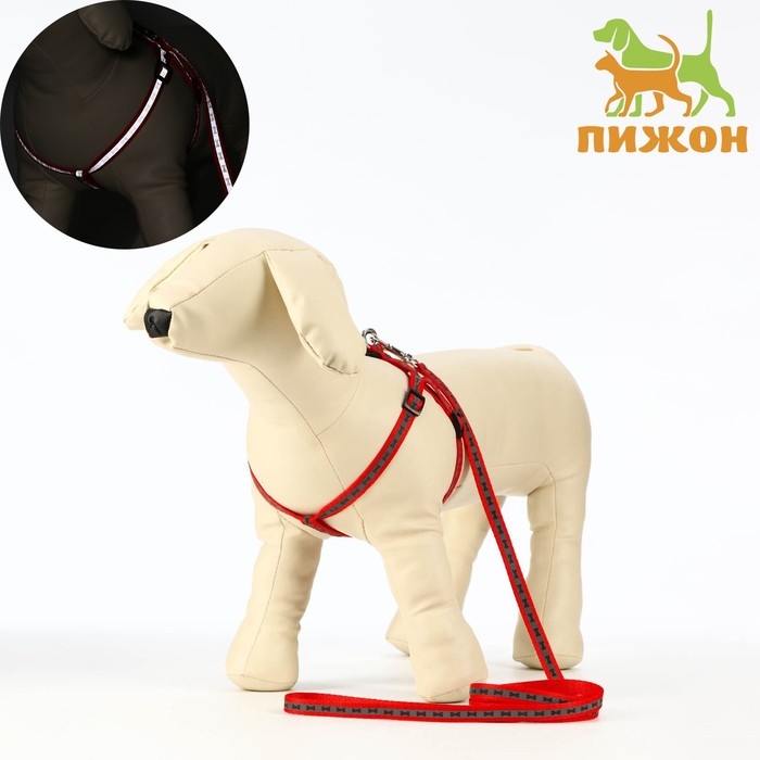Комплект светоотражающий Комплект светоотражающий "Косточки", поводок 1 х 120 см (ОШ 26-42 см ,ОГ 26-42 см) красный