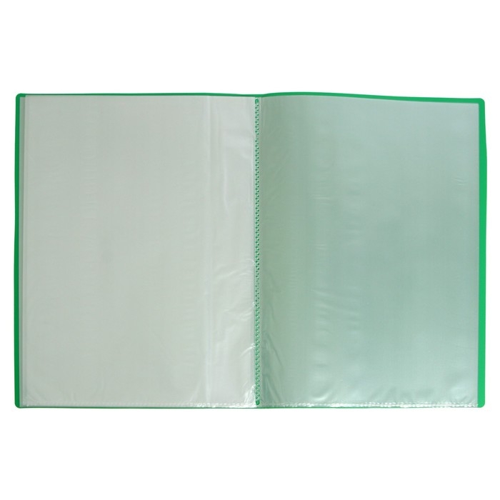 Папка с 40 вкладышами Calligrata А4, 400мкм, МИКС