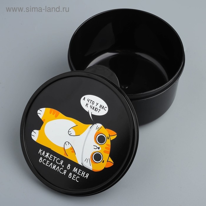 Ланч-бокс &laquo;В меня вселился вес&raquo;, 500 мл