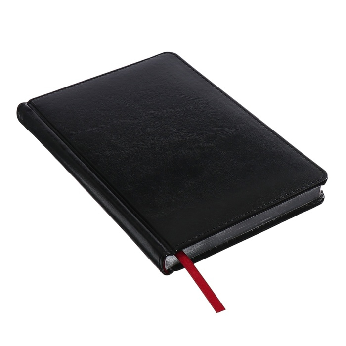 Ежедневник недатированный А5+, 136 листов Sidney Nebraska, твёрдая обложка, искусственная кожа, серебряный срез, чёрный