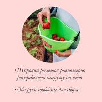 Ёмкость для сбора ягод, 3 л, «Малина» Ёмкость для сбора ягод, 3 л, «Малина»