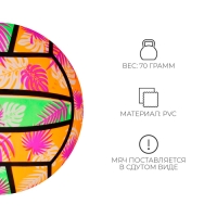 Мяч детский &laquo;Волейбол&raquo;, d=23 см