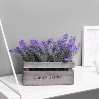 Бонсай "Лаванда в ящичке" 8х16,5х15 см, микс Бонсай "Лаванда в ящичке" 8х16,5х15 см, микс
