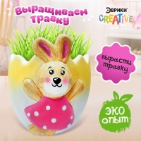 Набор для опытов «Выращиваем травку», зайка Набор для опытов «Выращиваем травку», зайка