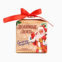 Конфеты на новый год шоколадные в коробке &laquo;Полярная почта&raquo;, 100 г