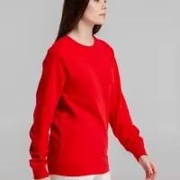 Свитшот унисекс BNC Inspire (Organic), красный, размер XXL