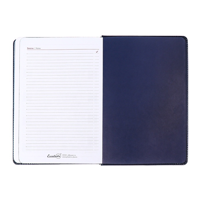 Ежедневник датированный 2025 года, ESCALADA, A5 176 листов, твердая обложка кожзам с поролоном, блинтовое тиснение, перфорация на обложке, блок 70 г/м2, синий