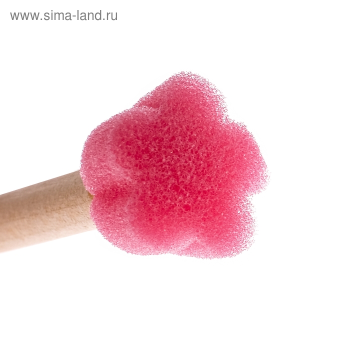 Набор кистей-спонж, 6 штук