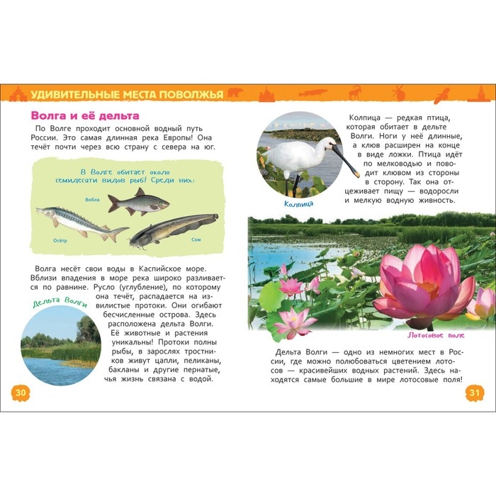 Энциклопедия для детского сада &laquo;Чудеса России&raquo;