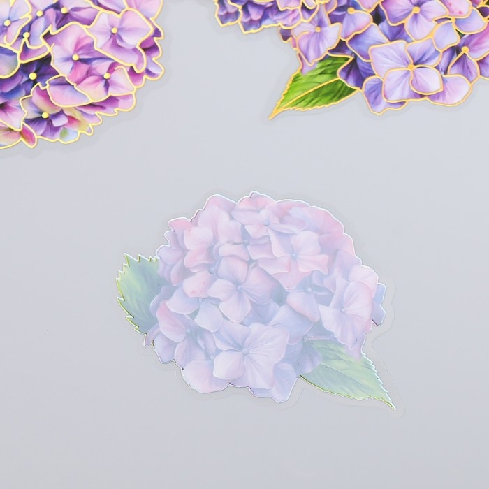 Наклейки для творчества "Гортензии" набор 10 шт 0,2х8,5х13,3 см