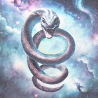 Новогодняя декупажная карта "Шипящая змея", плотность 45 г/м2, формат А4 Новогодняя декупажная карта "Шипящая змея", плотность 45 г/м2, формат А4