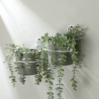 Подвес для кашпо, настенный, d = 16 см, белый, «Косая-2» Подвес для кашпо, настенный, d = 16 см, белый, «Косая-2»