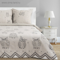 Постельное бельё "Этель" 2 сп Ушастые совы (вид 2) 175 х 215 см, 200 х 220 см, 70 х 70 - 2 шт