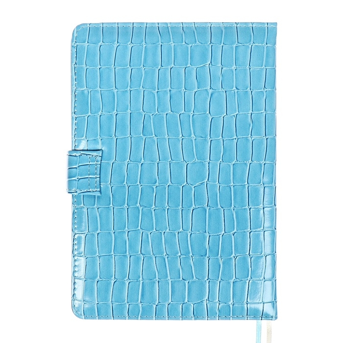 Ежедневник датированный 2025 года A5, 168 листов, deVENTE. Barbara, твердая обложка кожзам с поролоном, перфорацией, ляссе, блок 70, голубой