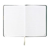 Ежедневник недатированный, A5, 136 листов, кожзам, deVENTE. Tropicana, твердая обложка, тиснение фольгой, перфорация, ляссе, блок 70%, темно-зеленый