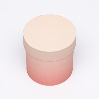 Набор круглых подарочных коробок 5 в 1 &laquo;Градиент 3&raquo;, 20 &times; 20 &times; 20‒13,5 &times; 13,5 &times; 13,5 см