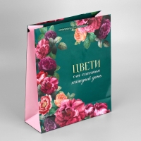 Пакет подарочный ламинированный, упаковка, &laquo;Каждый день&raquo;, M 24 х 29 х 9 см