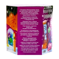 Набор для опытов &laquo;Новогодние опыты&raquo;