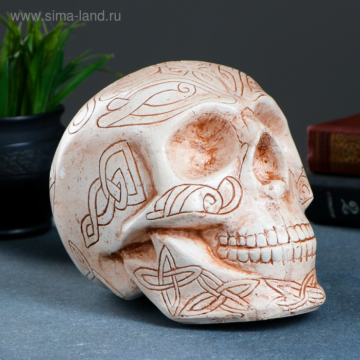 Копилка Копилка "Череп" бежевая, 17х13см