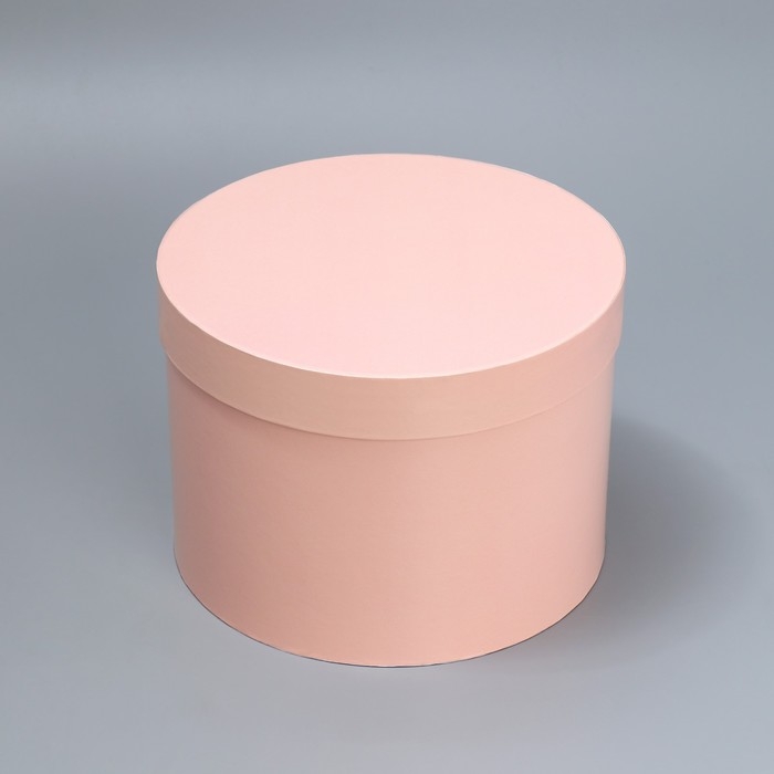 Набор шляпных коробок 3 в 1, упаковка подарочная, «Бежевый», 18 х 18 х 13‒25 х 25 х 15 см Набор шляпных коробок 3 в 1, упаковка подарочная, «Бежевый», 18 х 18 х 13‒25 х 25 х 15 см