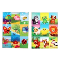 Обучающий набор &laquo;Карточки Сегена: Животные&raquo;