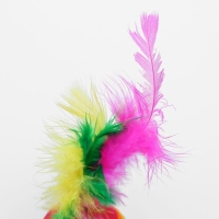 Набор из 2 игрушек "Полосатые шарики с перьями", диаметр шара 3,8 см, микс цветов Набор из 2 игрушек "Полосатые шарики с перьями", диаметр шара 3,8 см, микс цветов