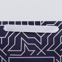 Пакет подарочный ламинированный горизонтальный, упаковка, &laquo;Первый во всём&raquo;, M 25.5 х 30 х 9 см