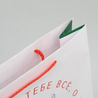 Пакет подарочный новогодний ламинированный &laquo;Все,что мечтаешь&raquo;, L 28 х 38 х 9 см, Новый год