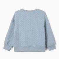 Свитшот для девочек, цвет серо-голубой, размер 116 см Свитшот для девочек, цвет серо-голубой, размер 116 см