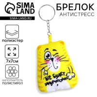 Брелок-антистресс «Всё будет замурчательно», кот, 7х7 см Брелок-антистресс «Всё будет замурчательно», кот, 7х7 см