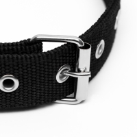 Ошейник двухслойный с вертлюгом, 55 х 2,5 см, полиэстер, черный Ошейник двухслойный с вертлюгом, 55 х 2,5 см, полиэстер, черный