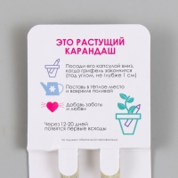 Растущие подарочные карандаши mini "Мята и Паприка" набор 2 шт