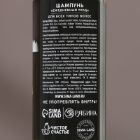 Подарочный набор косметики &laquo;Успехов в Новом Году&raquo;, гель для душа и шампунь для волос, 2 х 100 мл, ЧИСТОЕ СЧАСТЬЕ